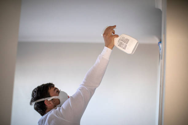 Best Toxic Mold Removal  in Grayslake, IL